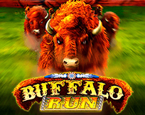 Buffalo Run